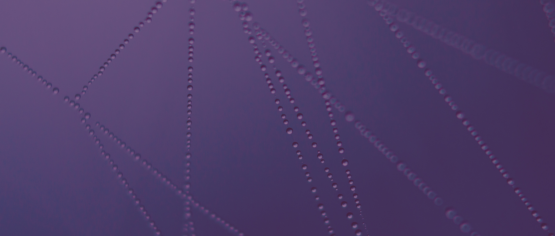 clustering-banner clustering