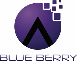 blueberry logo